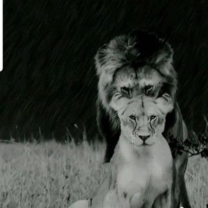 Meet your Posher, Sonja